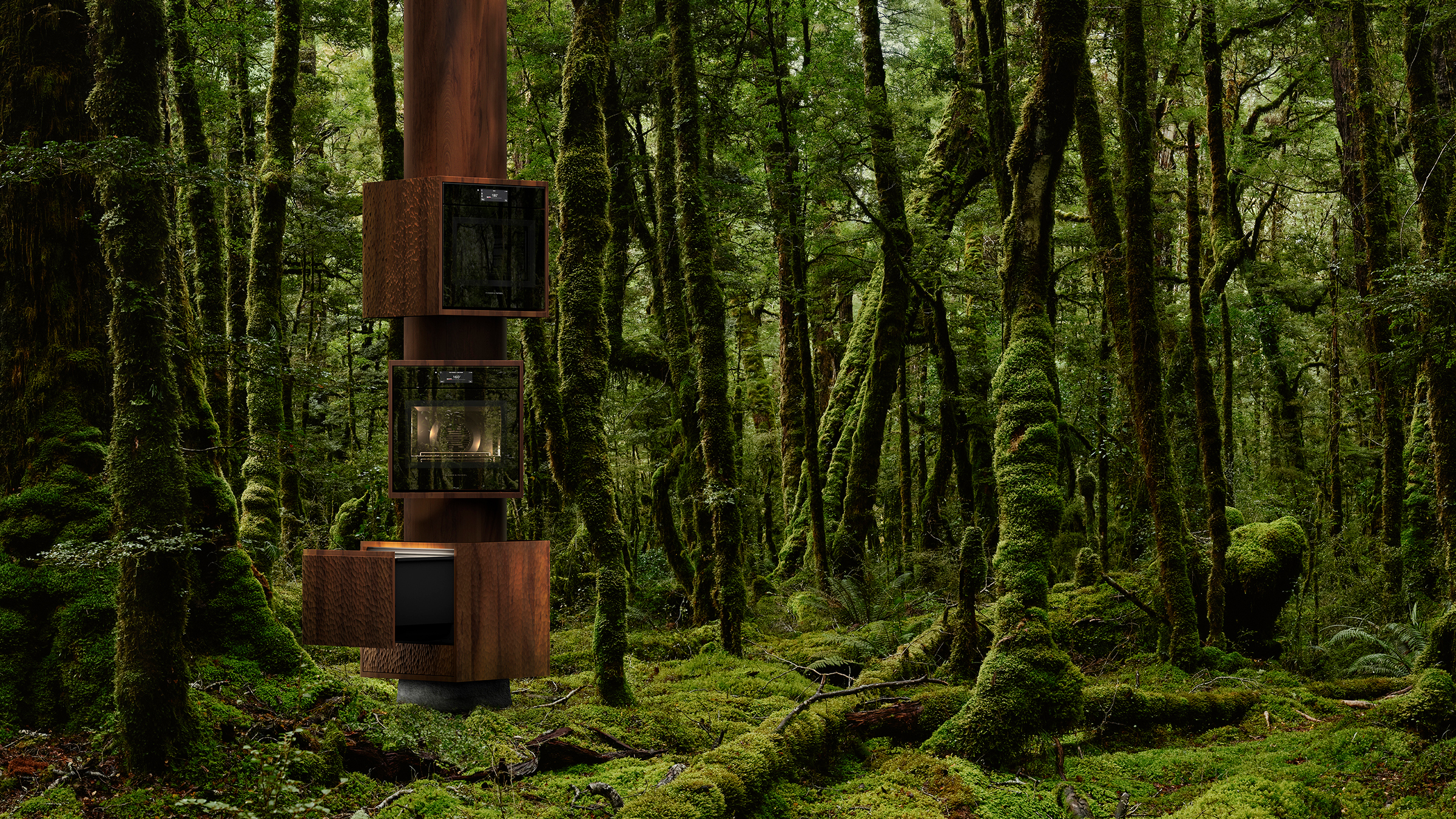 Forest scene showing Fisher & Paykel products on a tree
